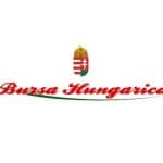 BURSA HUNGARICA FELSŐOKTATÁSI ÖNKORMÁNYZATI ÖSZTÖNDÍJ 2025. ÉVRE SZÓLÓ FORDULÓ TÁJÉKOZTATÓ